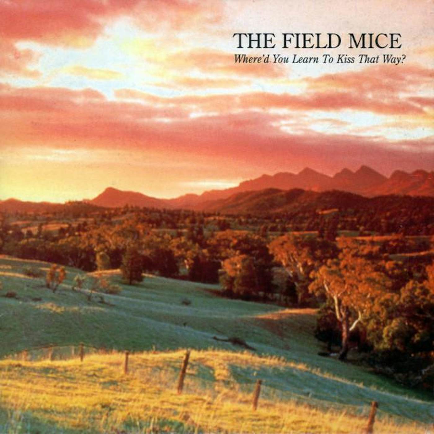The Field Mice