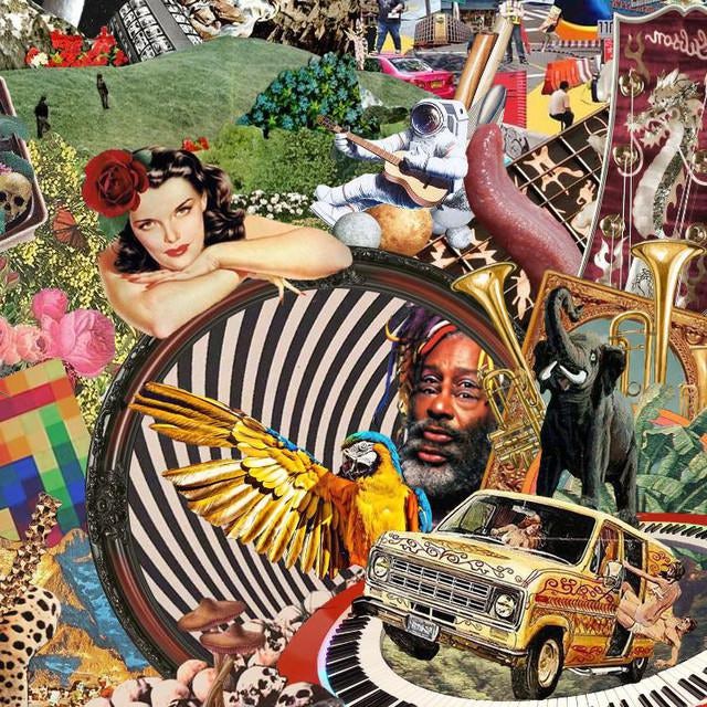 The Sponges Store Official Merch & Vinyl