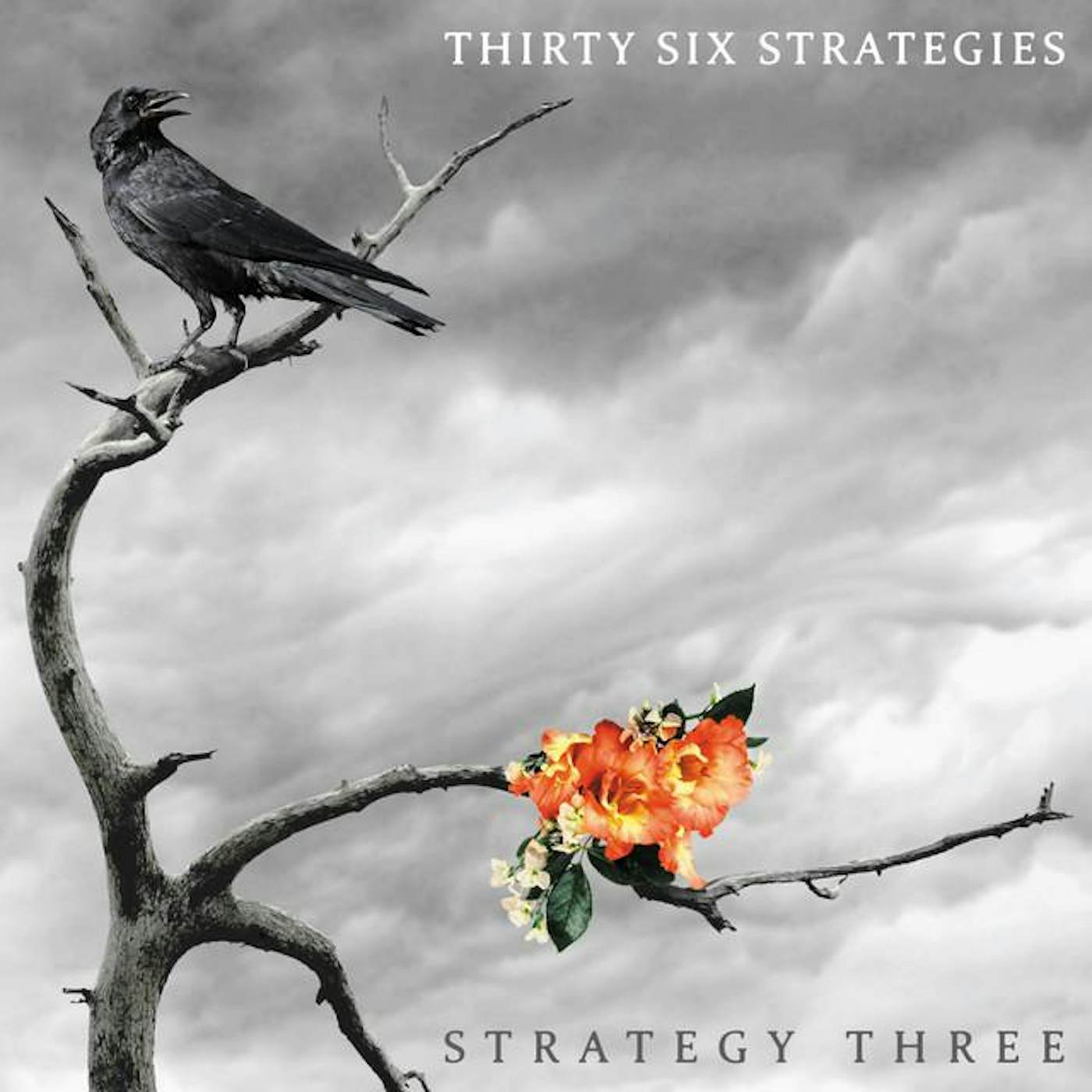 Thirty Six Strategies