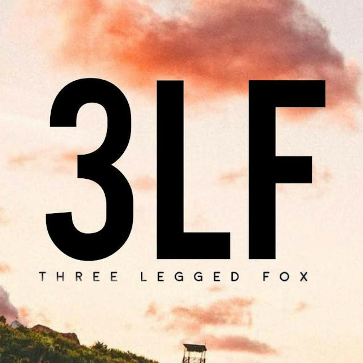 Three Legged Fox