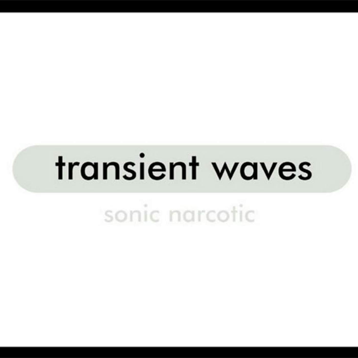 Transient Waves