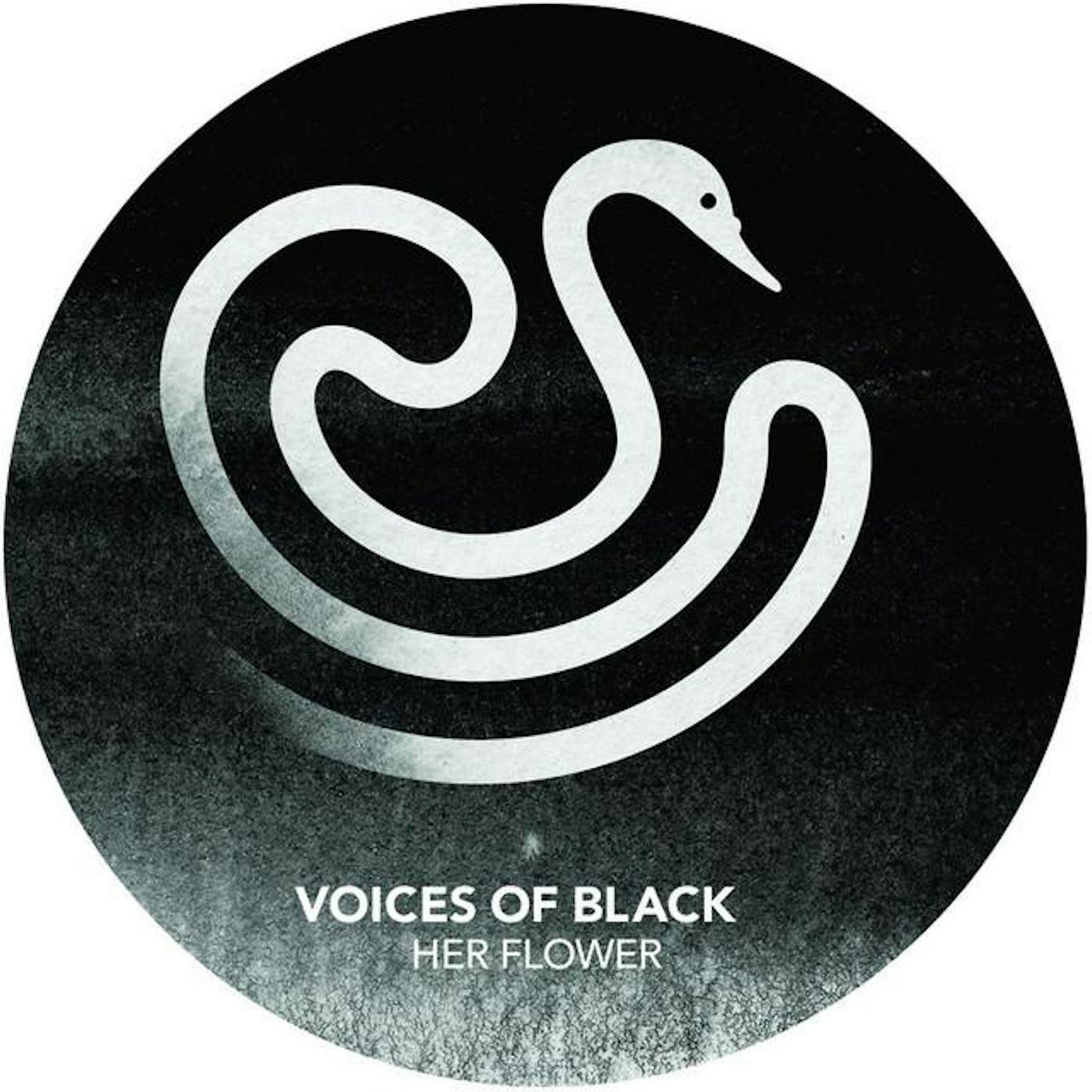 Voices Of Black