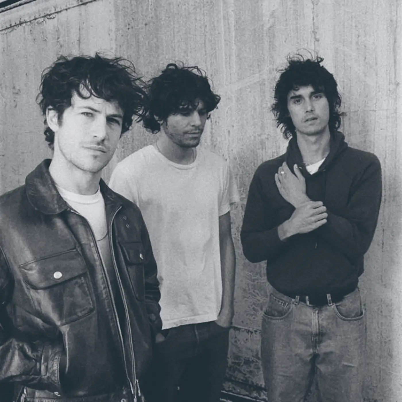 Wallows Shirts, Wallows Merch, Wallows Hoodies, Wallows Vinyl Records ...