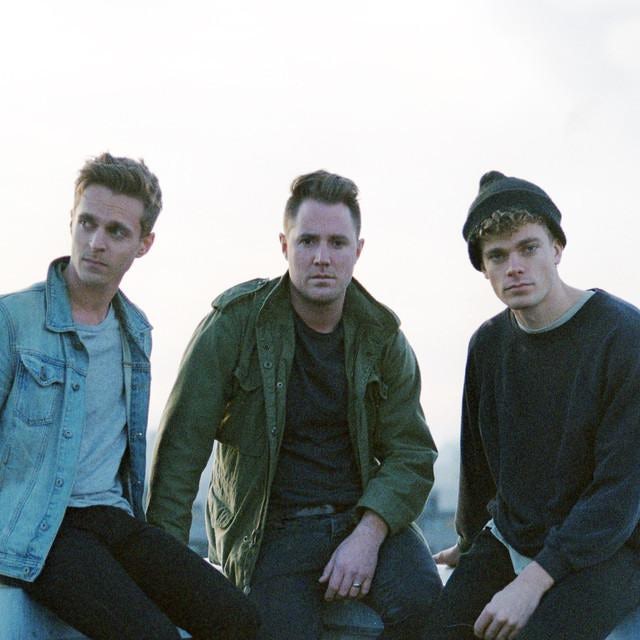 Wild Cub Closer Vinyl Record