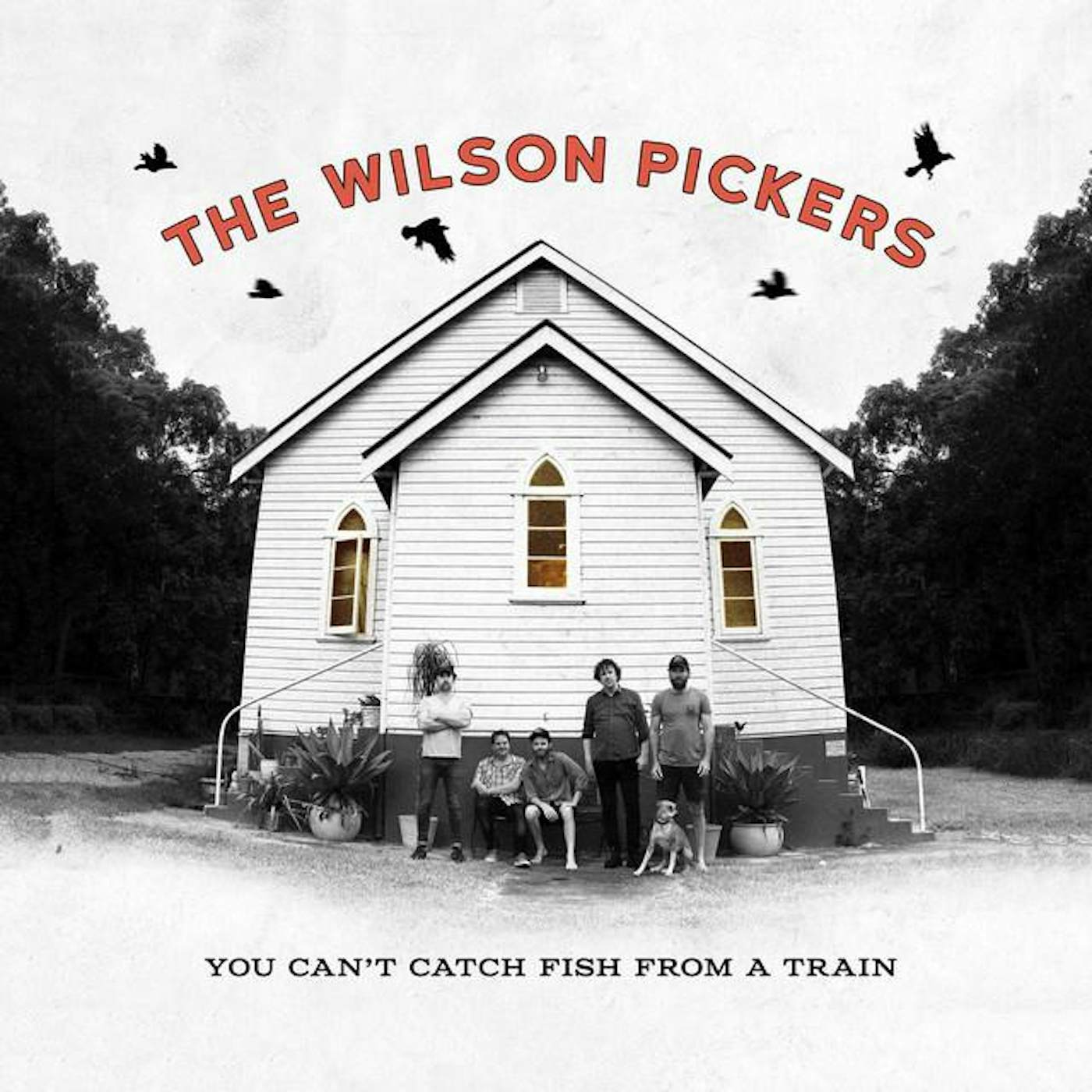 The Wilson Pickers