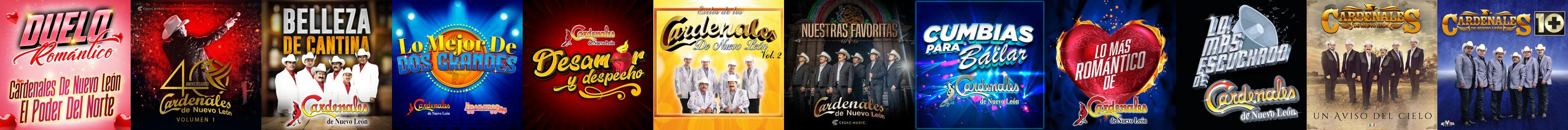 Cardenales De Nuevo León Store: Official Merch & Vinyl