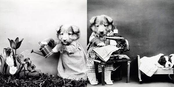 Dokodoko Store Official Merch & Vinyl