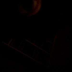 Enemy Earth Store: Official Merch & Vinyl