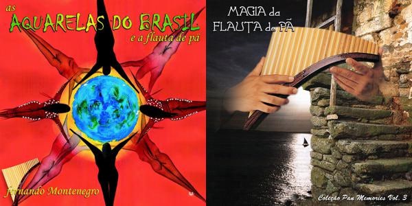 Fernando Montenegro Store Official Merch & Vinyl