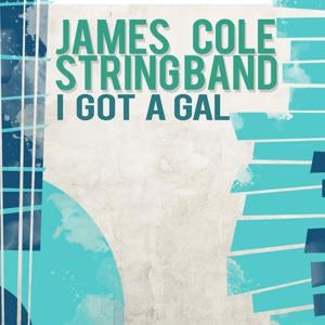James Cole String Band Store: Official Merch & Vinyl