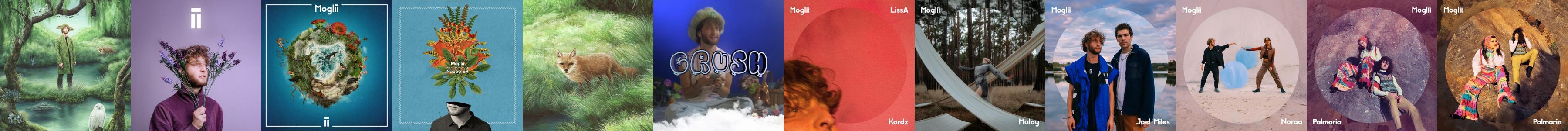 Moglii Store: Official Merch & Vinyl