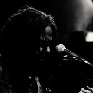 Momo Cat Store: Official Merch & Vinyl