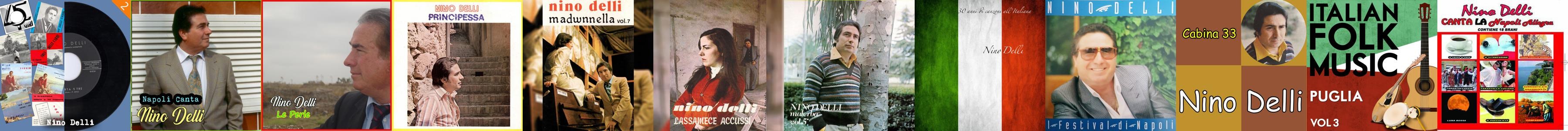 Nino Delli Store Official Merch & Vinyl