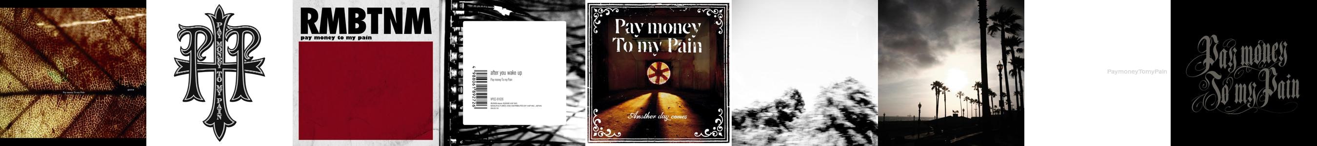 Pay Money To My Pain Store Official Merch Vinyl