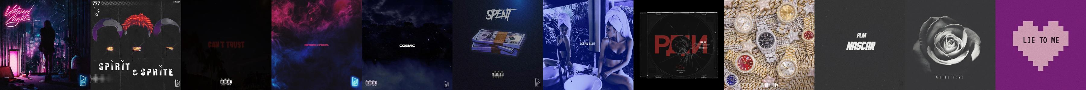 PLM Store: Official Merch & Vinyl