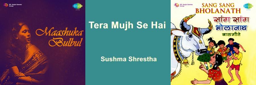Sushma Shrestha Store Official Merch Vinyl