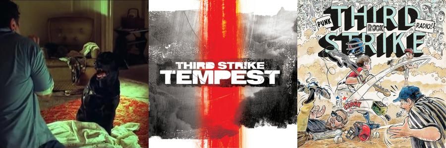 Third Strike Store Official Merch Vinyl