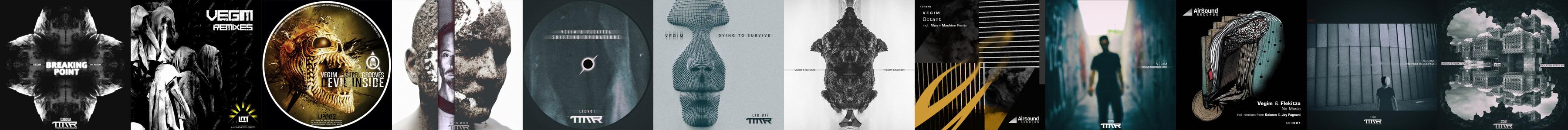 Vegim Store Official Merch Vinyl