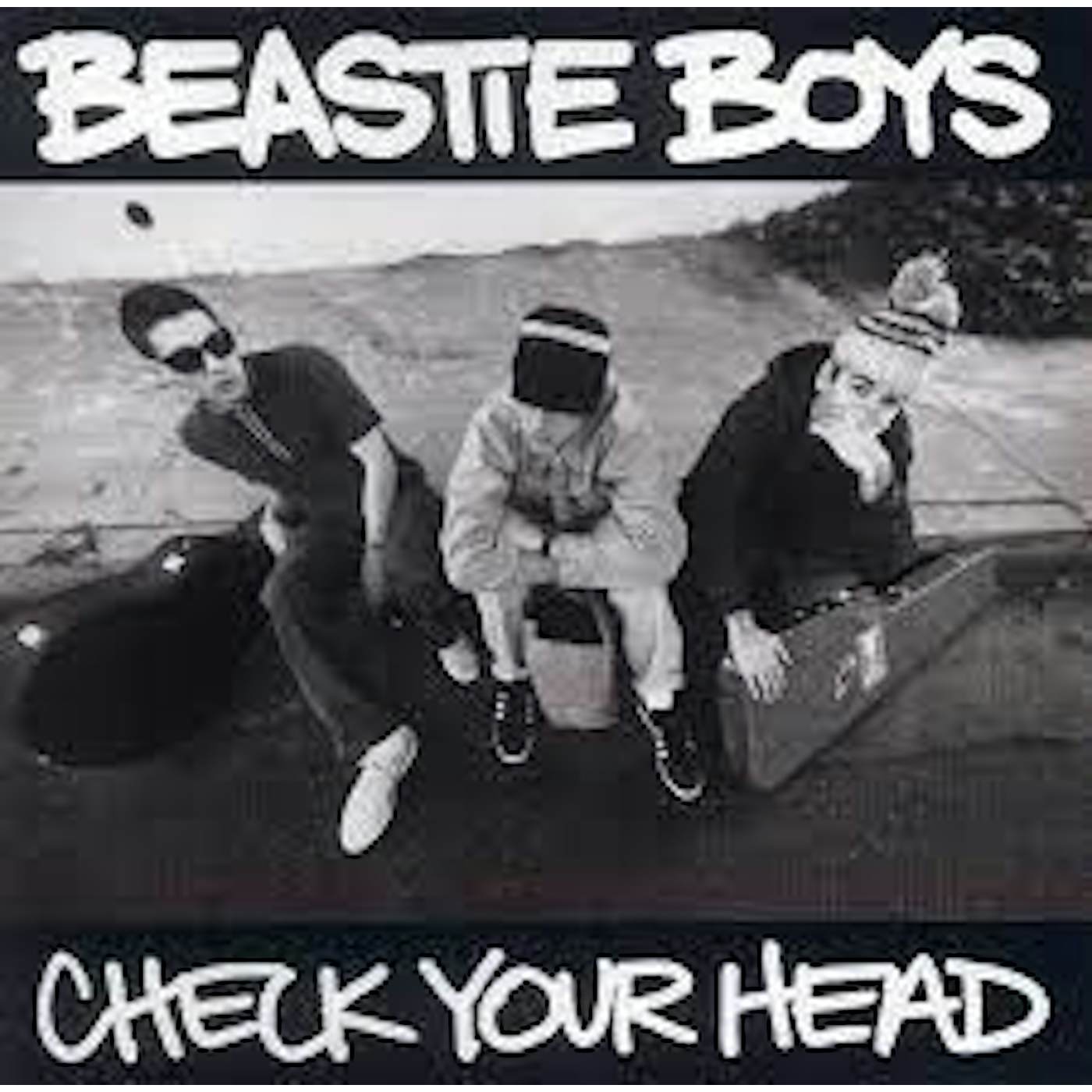 Beastie Boys - Check Your Head (Vinyl)