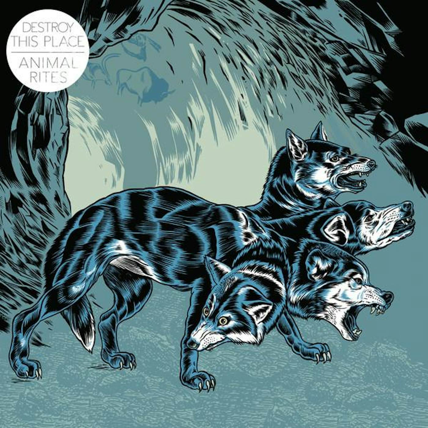 Destroy This Place ‎– Animal Rites lp (Vinyl)