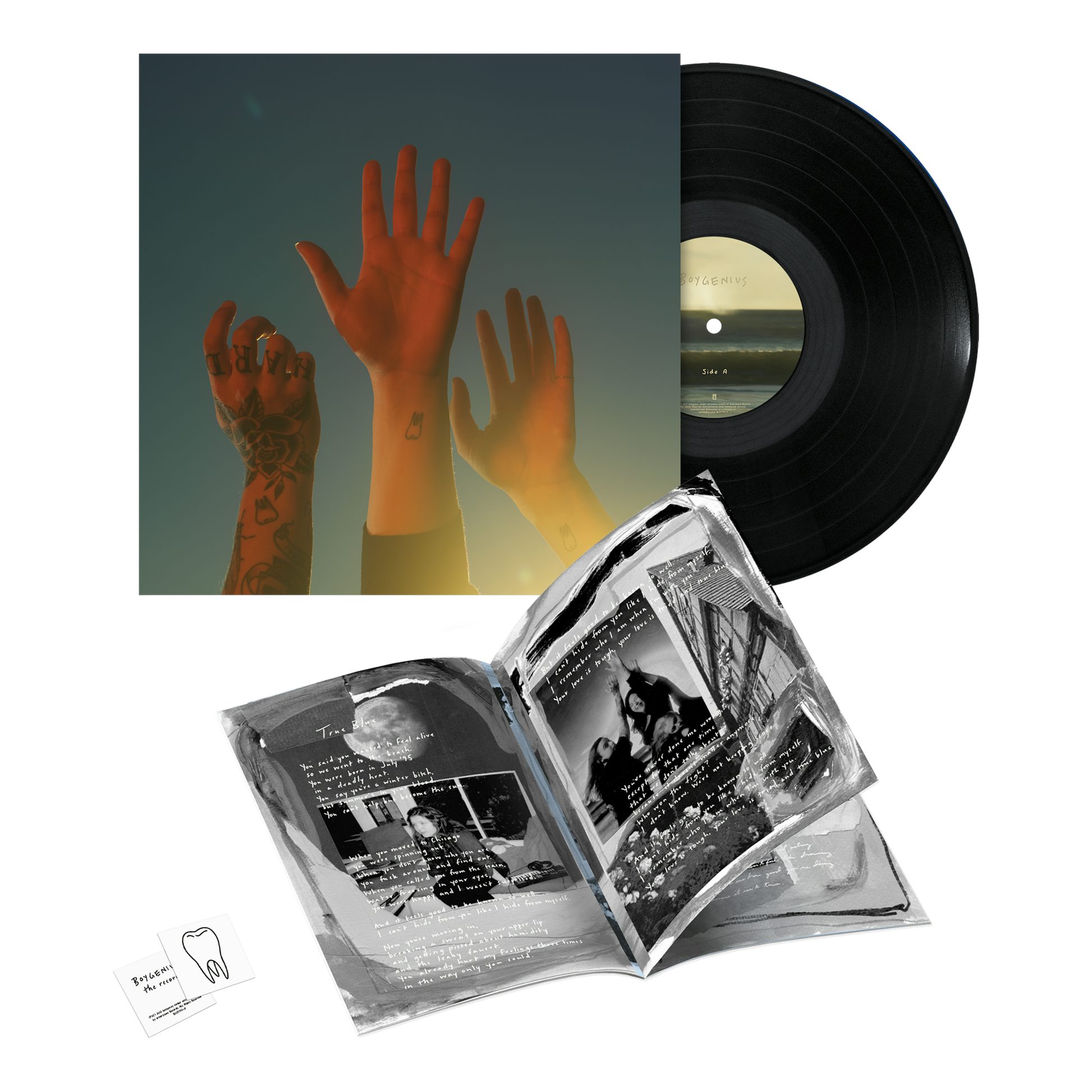 boygenius Shirts, boygenius Merch, boygenius Hoodies, boygenius Vinyl Records, boygenius Posters