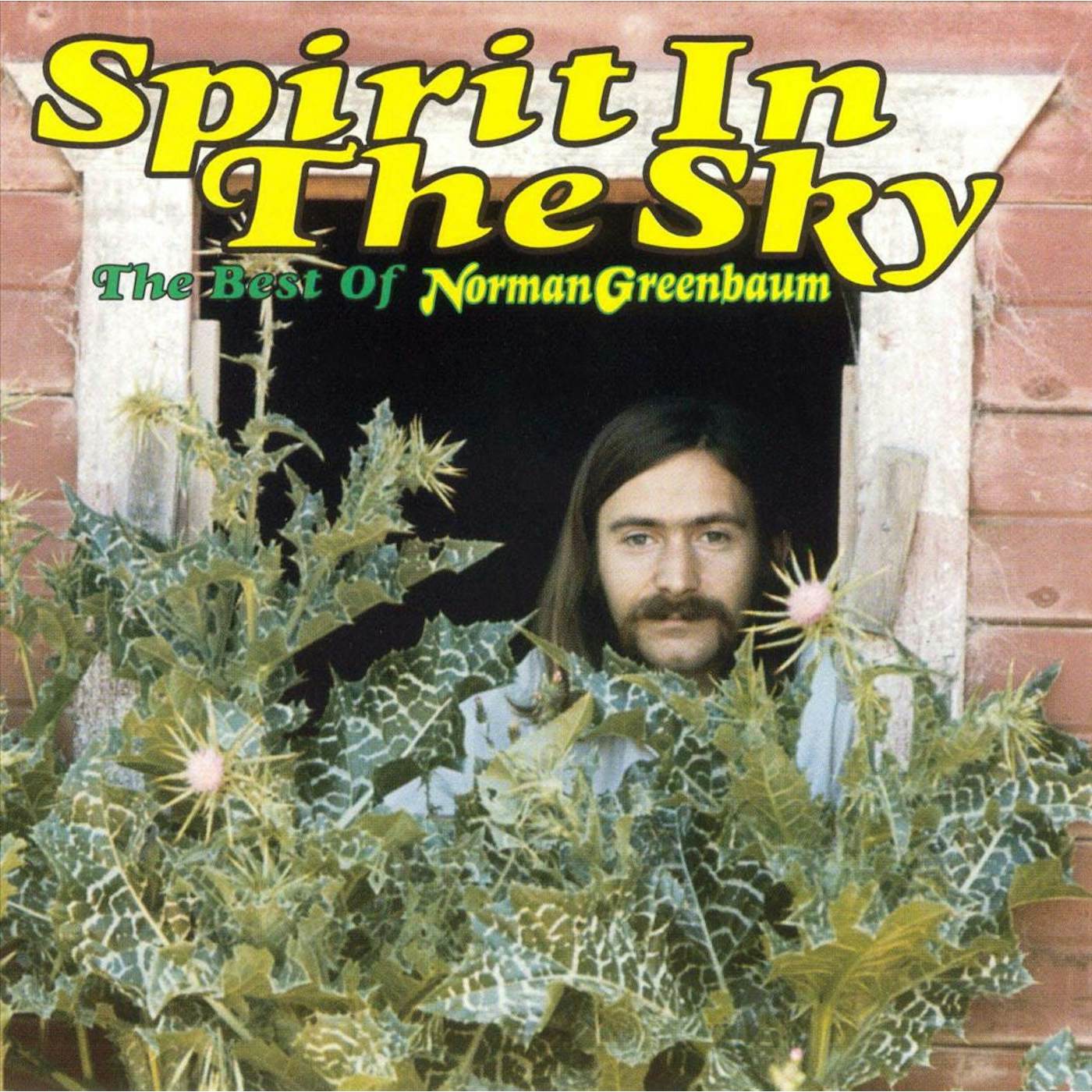 Spirit In The Sky: The Best Of Norman Greenbaum (CD)