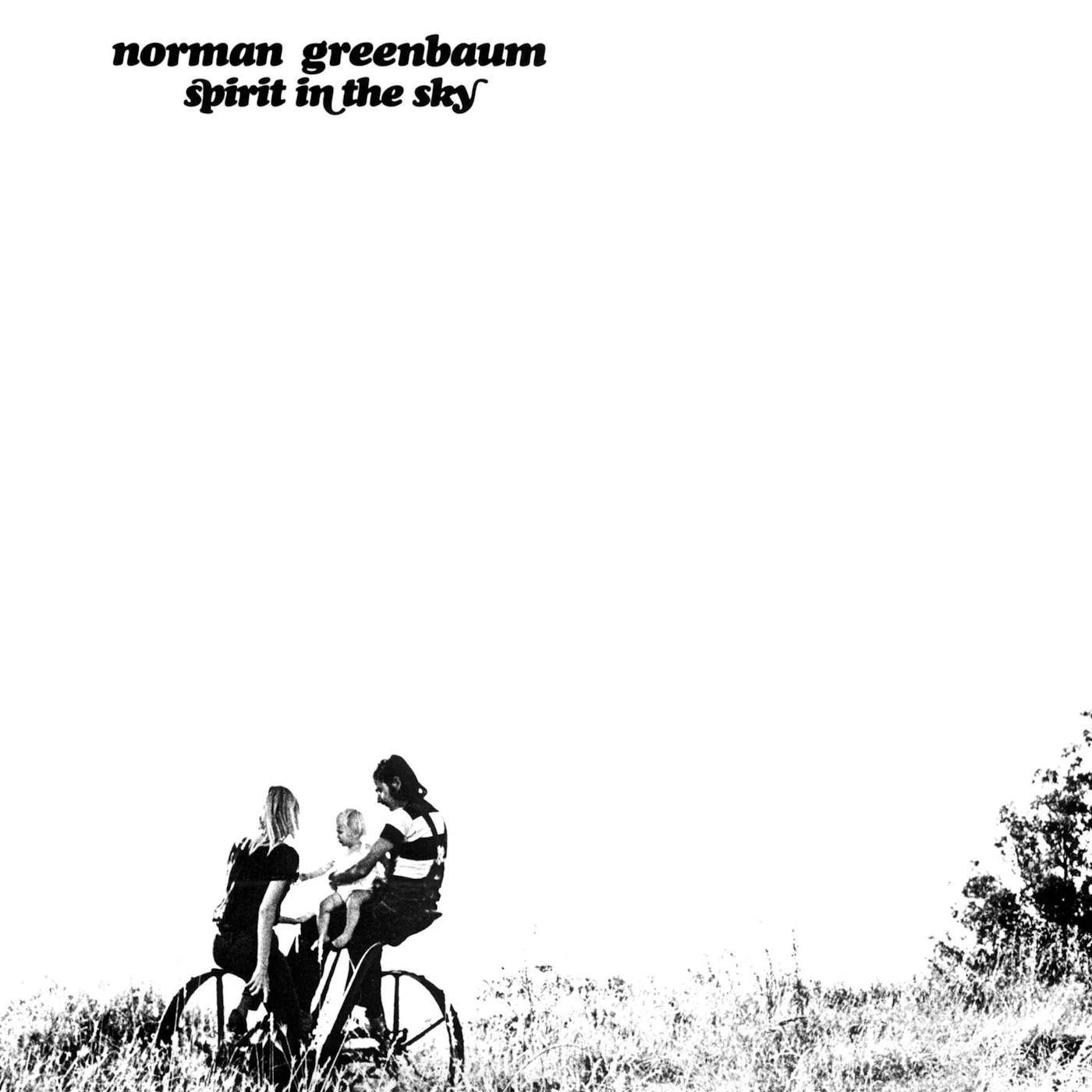 Norman Greenbaum: Spirit In The Sky (CD)