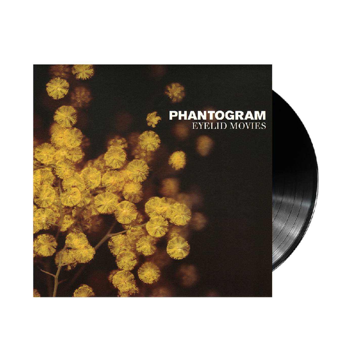 Phantogram Eyelid Movies LP (Vinyl)