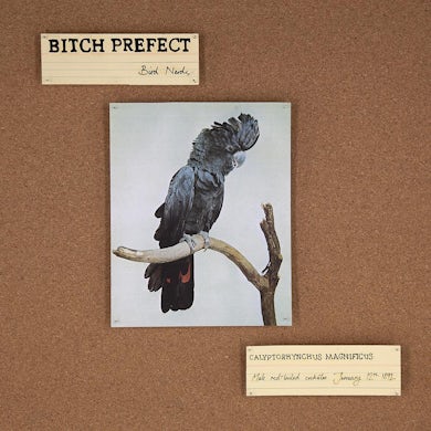 Bitch Prefect Bird Nerds CD