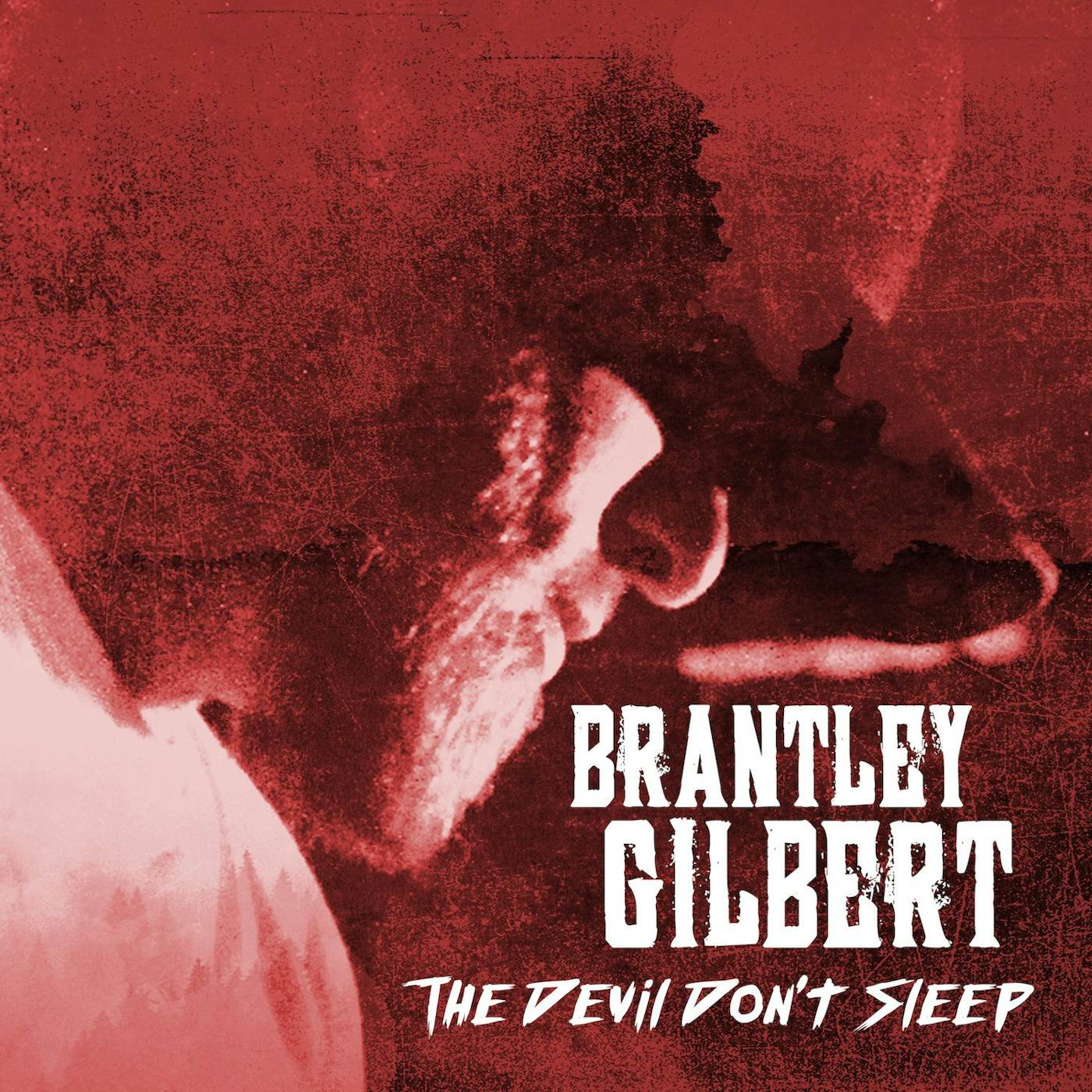 Brantley Gilbert - The Devil Don't Sleep (Standard Vinyl)