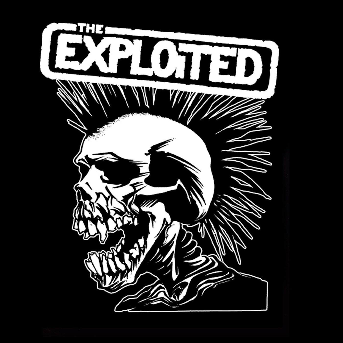 The Exploited "Pushead Skull" Back Patch