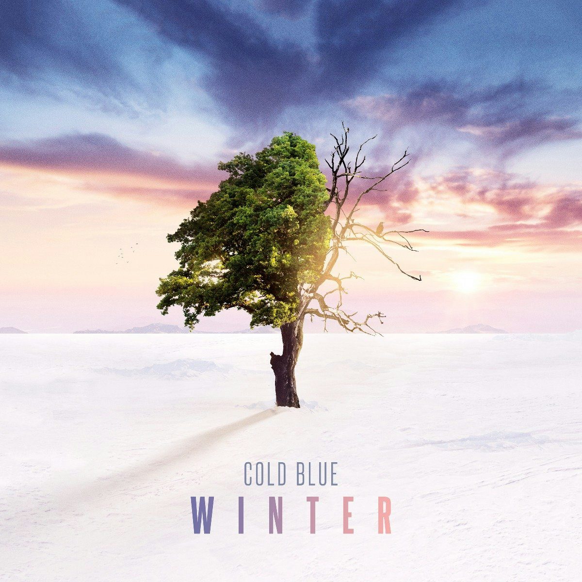 Cold Blue WINTER CD