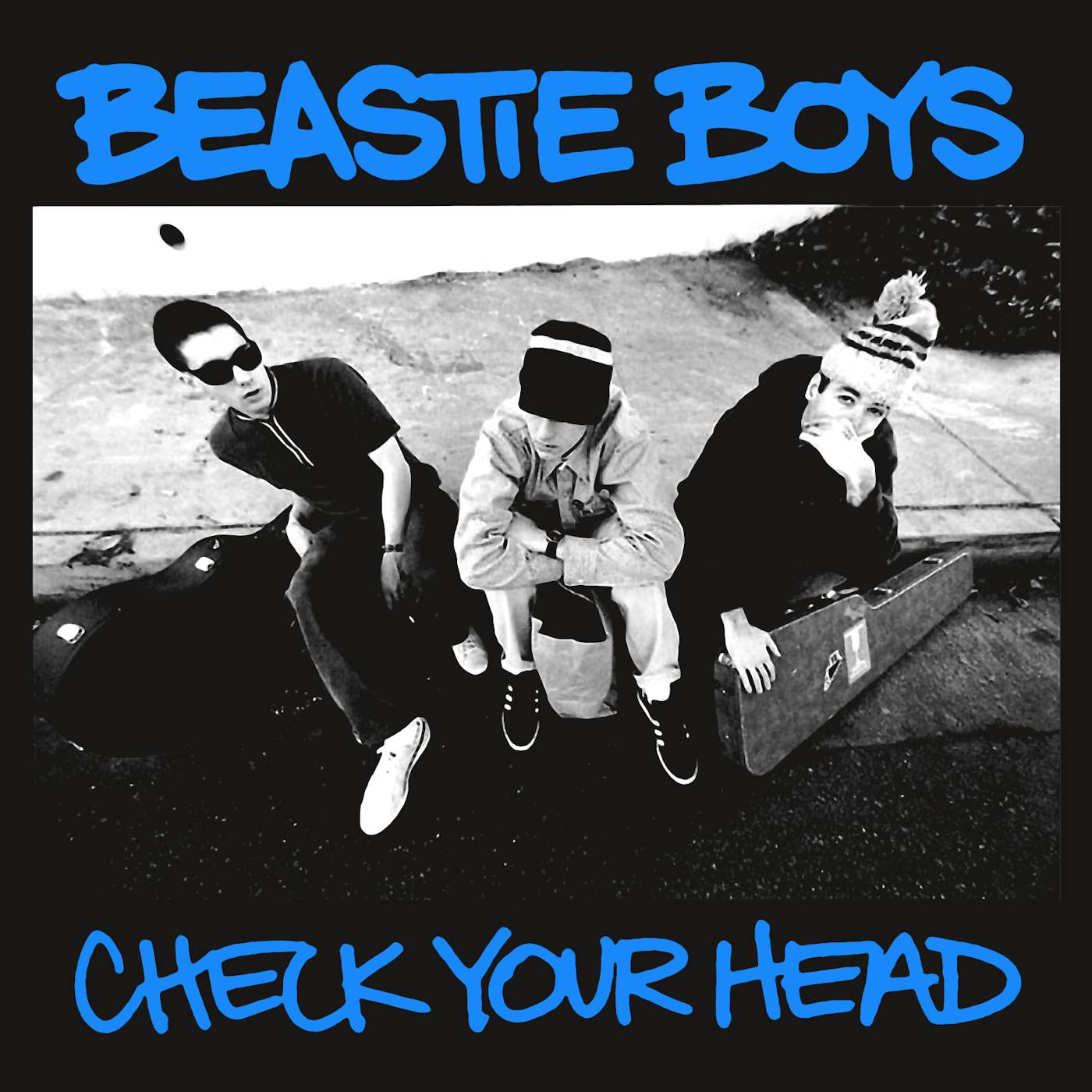 Beastie Boys T-Shirt | Check Your Head Album Art Shirt