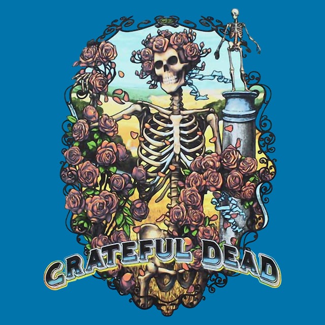 Grateful Dead T-Shirt | Bertha Skeleton Rainbow Tie Dye Grateful Dead Shirt