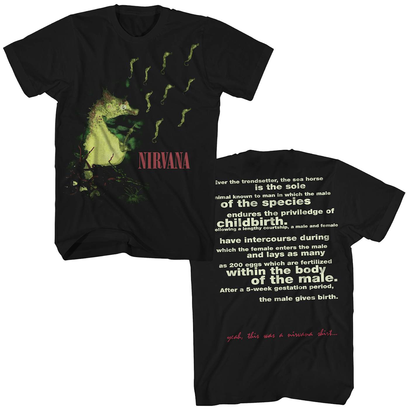 90´s Nirvana All Aplogies Seahorse Tee-