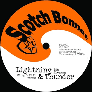 'Lightning & thunder (Mungo"s Hi Fi remix)' Vinyl 10" Vinyl Record