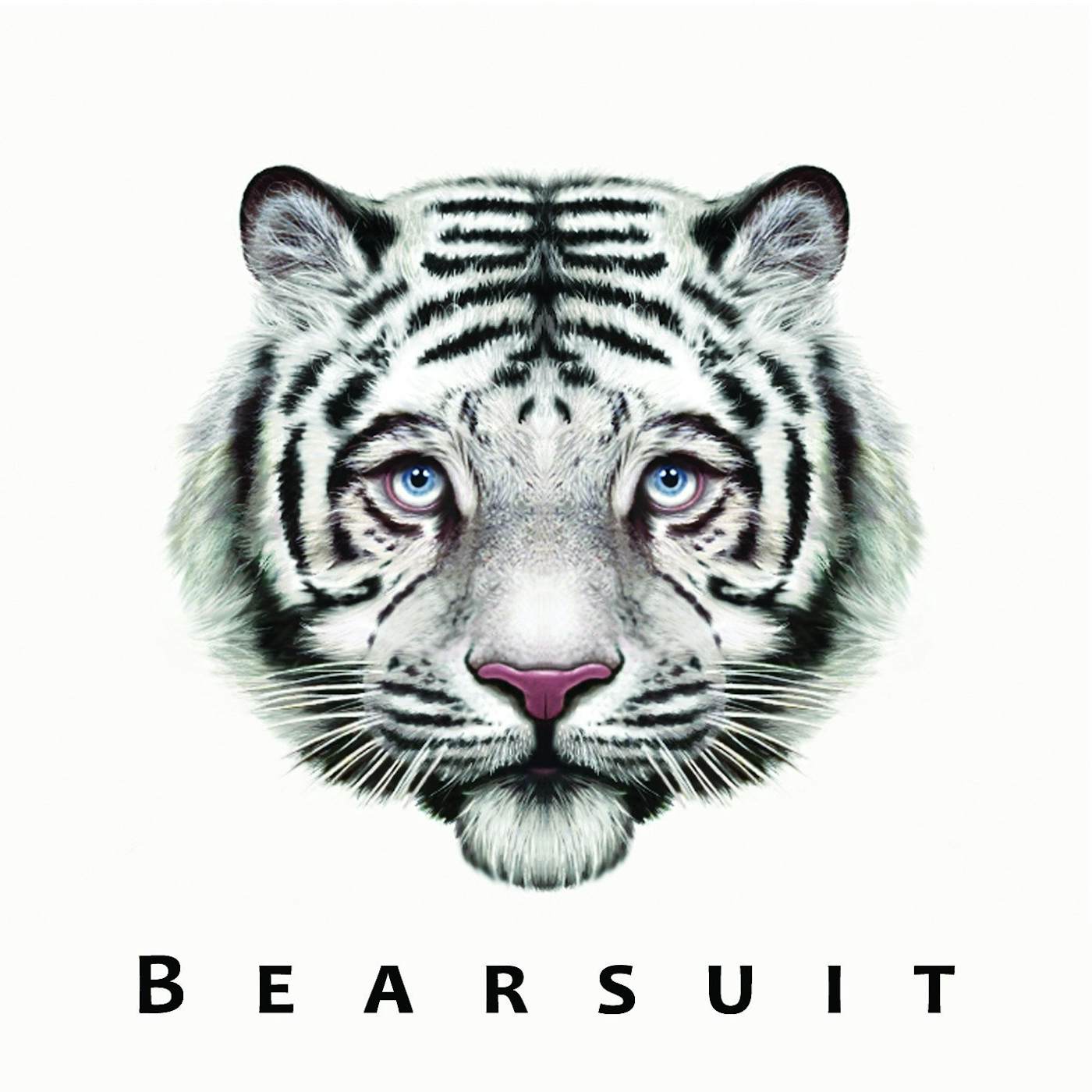 Bearsuit 'The Phantom Forest' Vinyl Record
