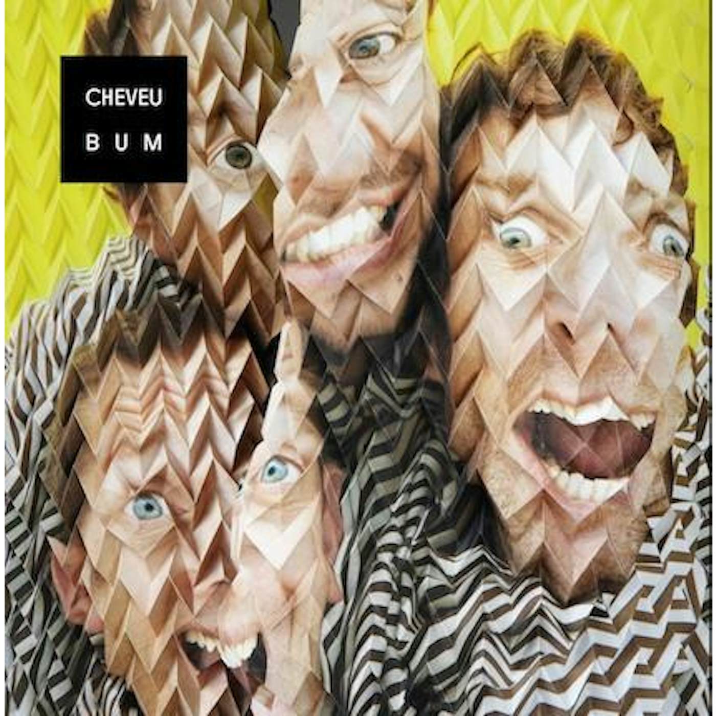 Cheveu 'Bum' Vinyl Record