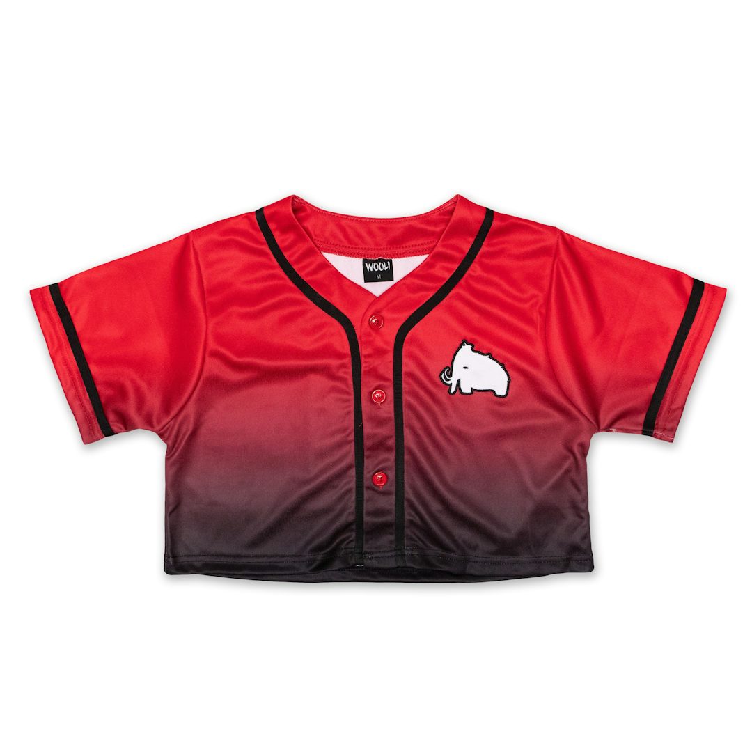 Wooli Destination Tour Crop Jersey