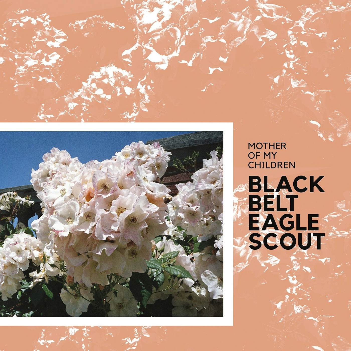 Black Belt Eagle Scout / Mother of My Children - LP Vinyl
