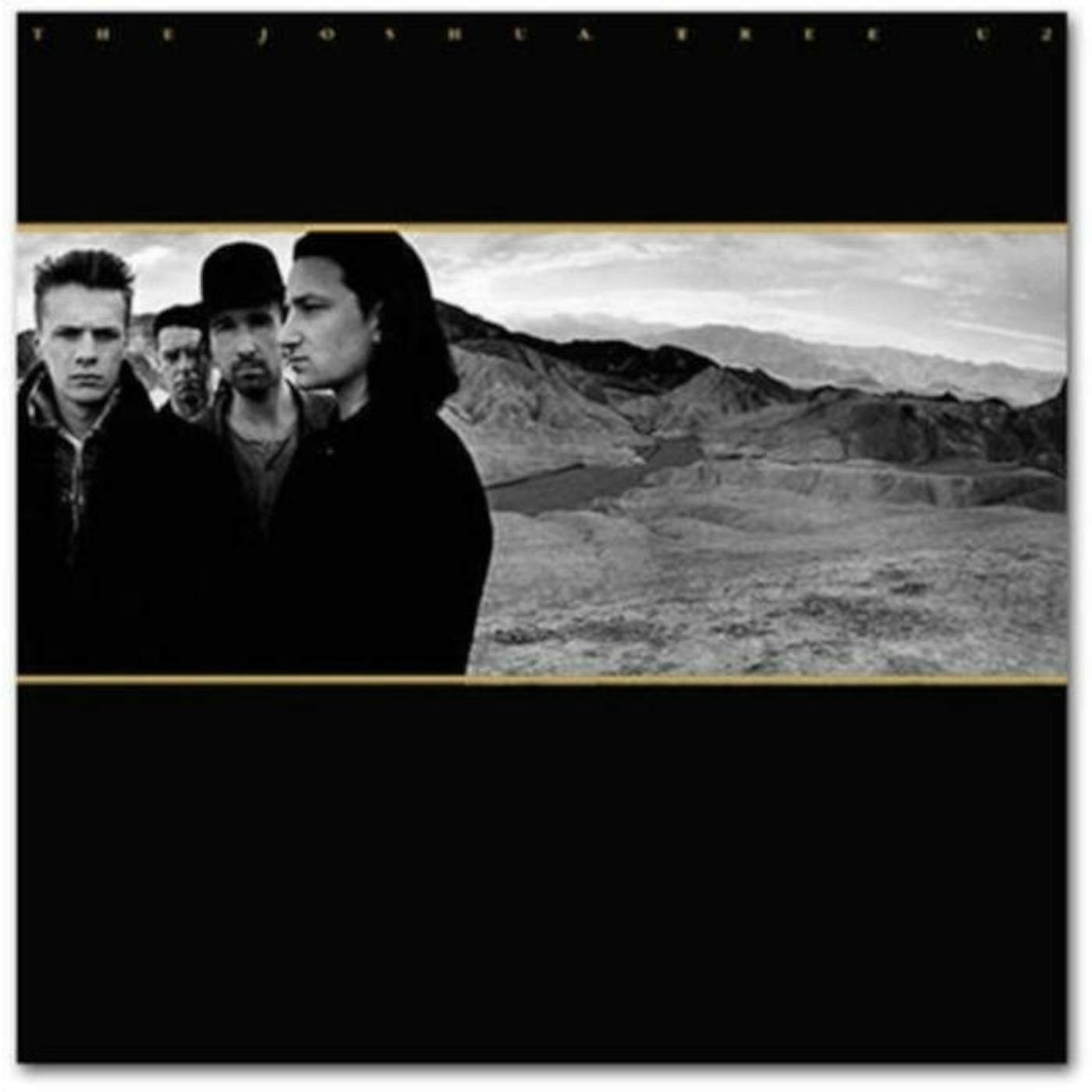 U2 LP Vinyl Record - The Joshua Tree