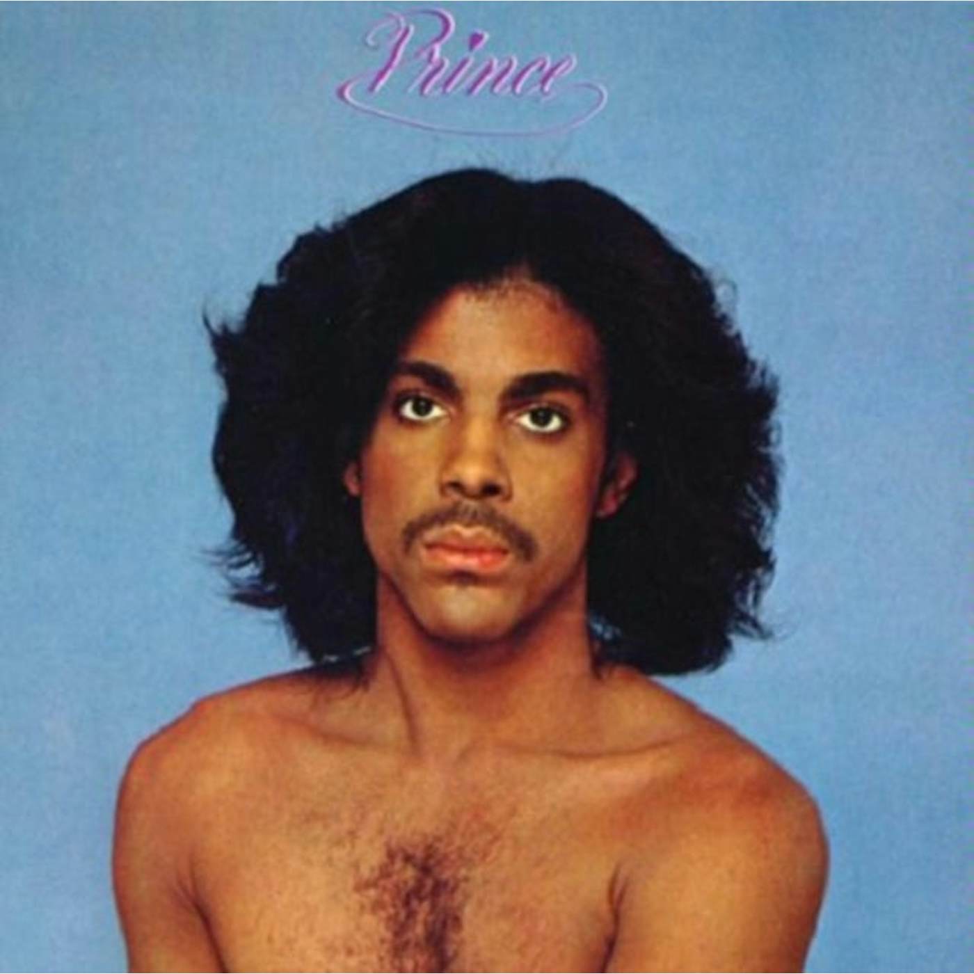 Prince LP Vinyl Record - Prince
