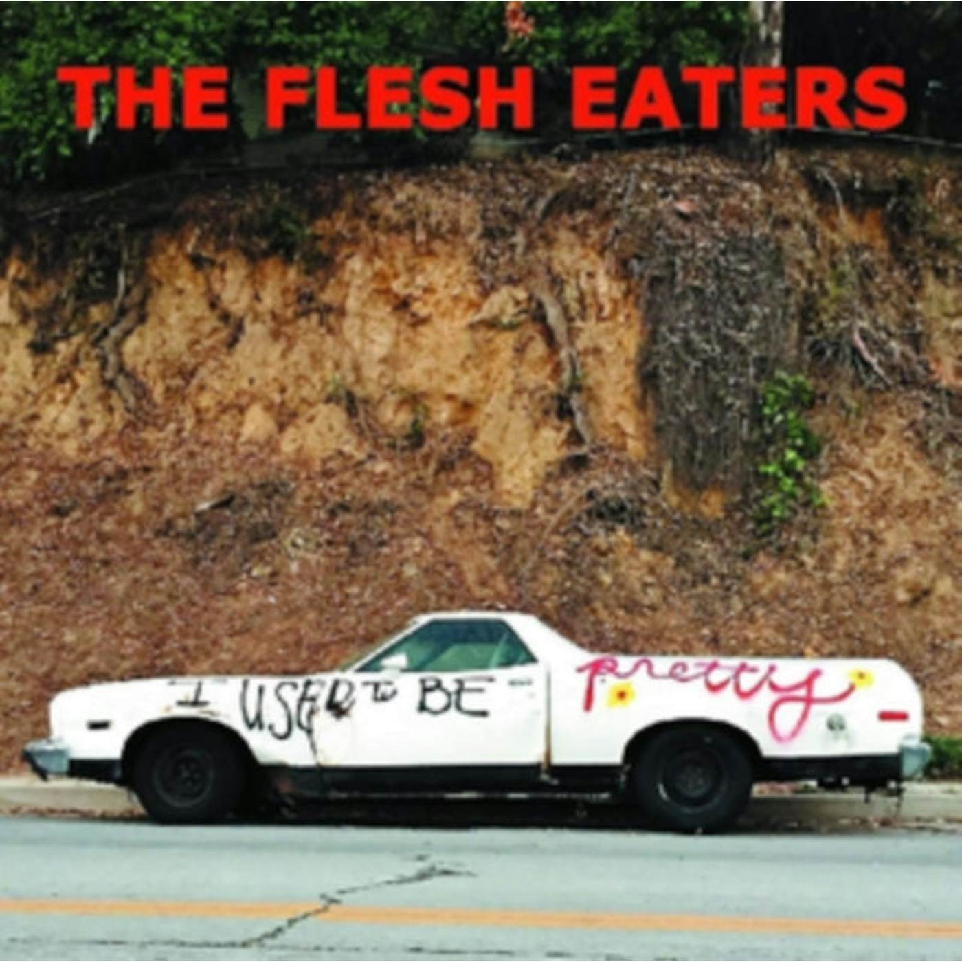 The Flesh Eaters LP Vinyl Record - I Used To Be Pretty
