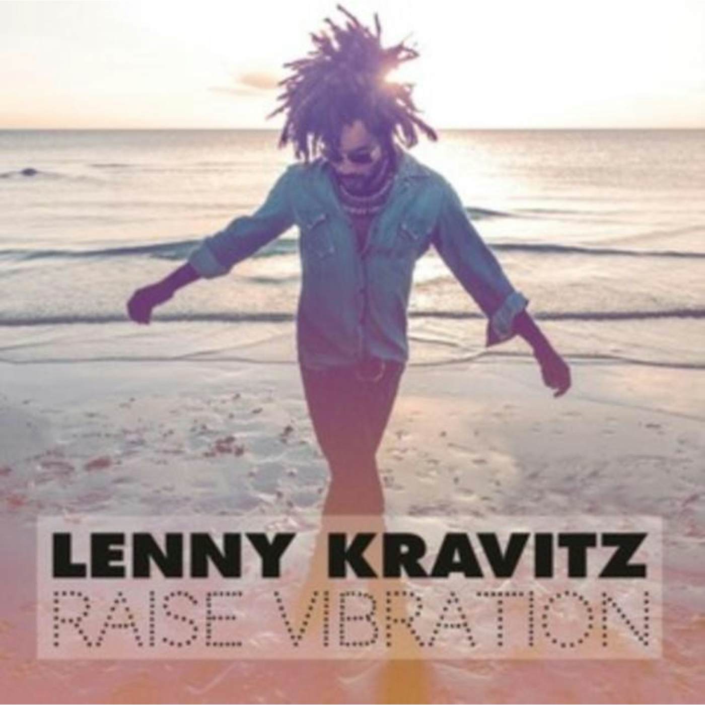 Lenny Kravitz LP Vinyl Record - Raise Vibration