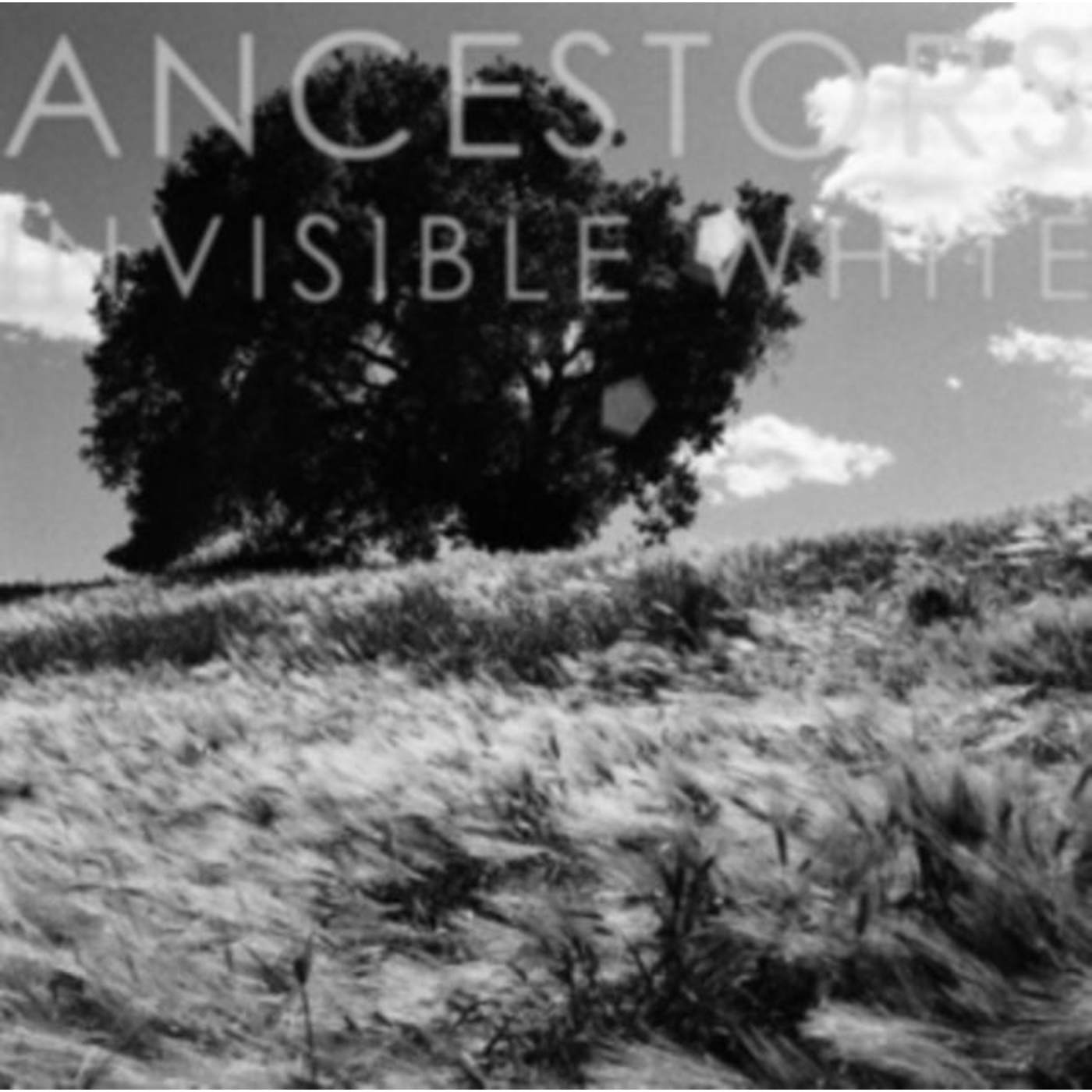 Ancestors CD - Invisible White