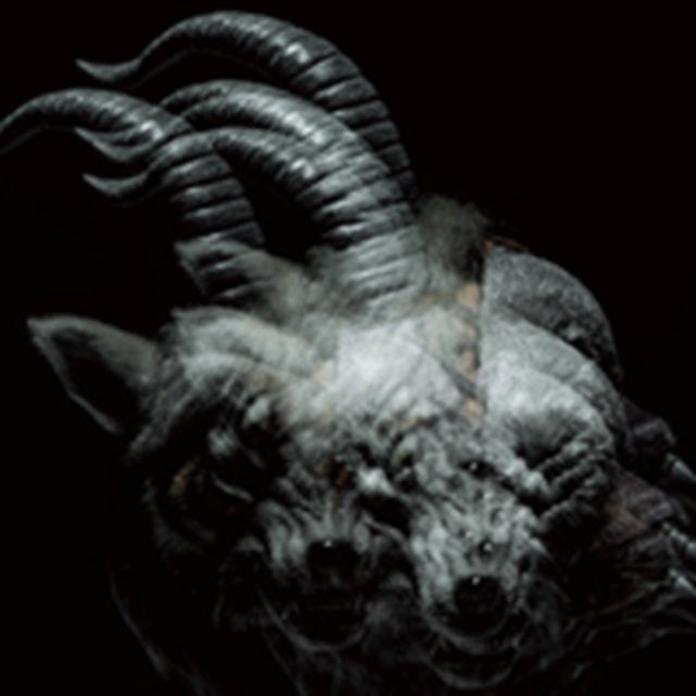 the GazettE CD - Beautiful Deformity