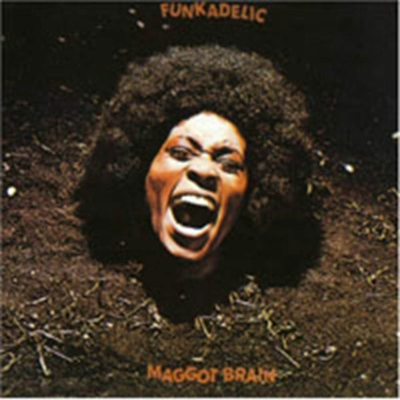 Funkadelic CD - Maggot Brain