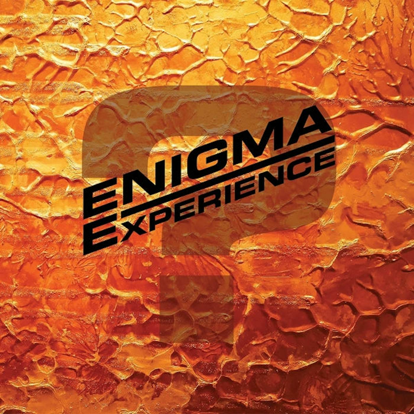 Enigma Experience LP - Question Mark (Vinyl)