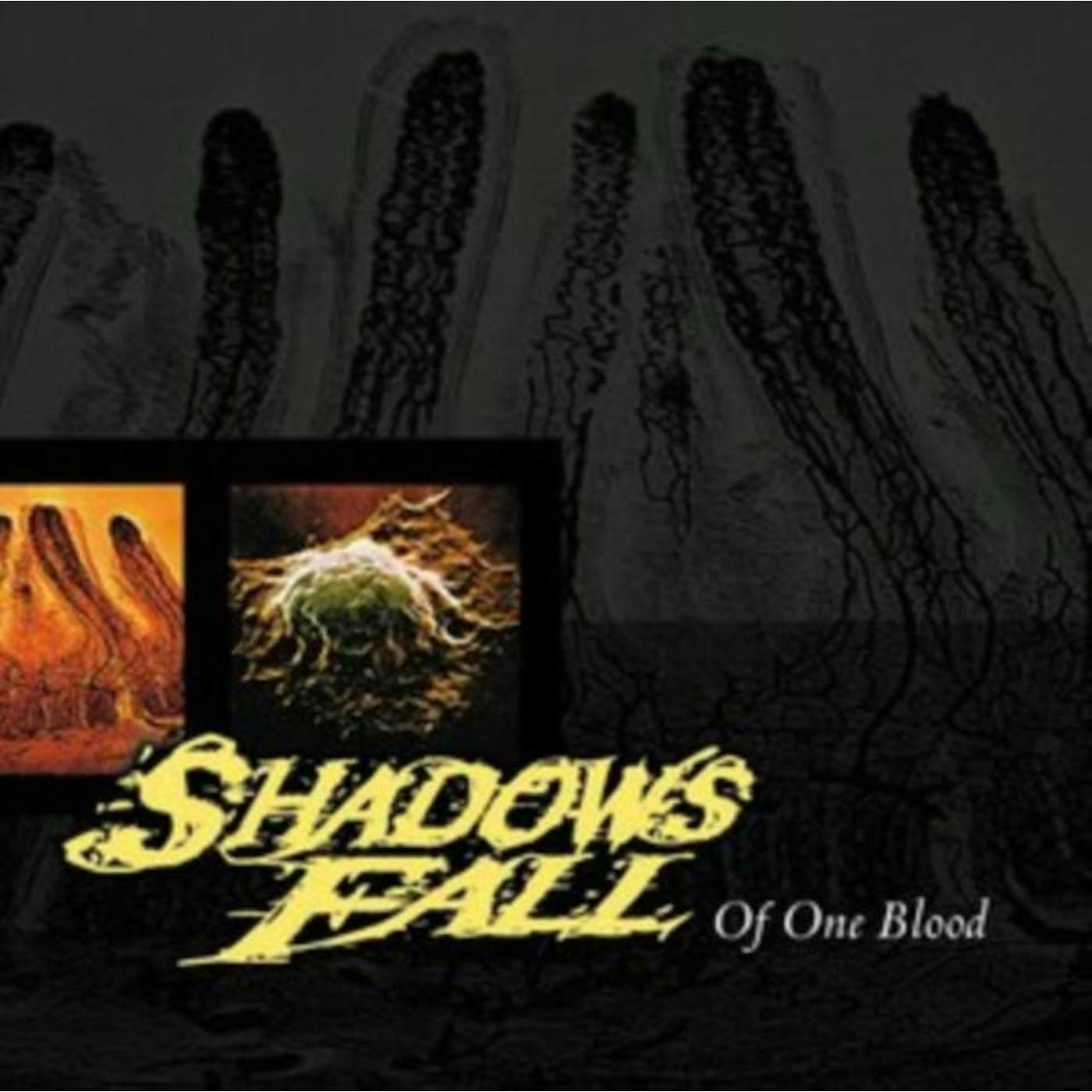 Shadows Fall LP - Of One Blood (Blood Red Vinyl)
