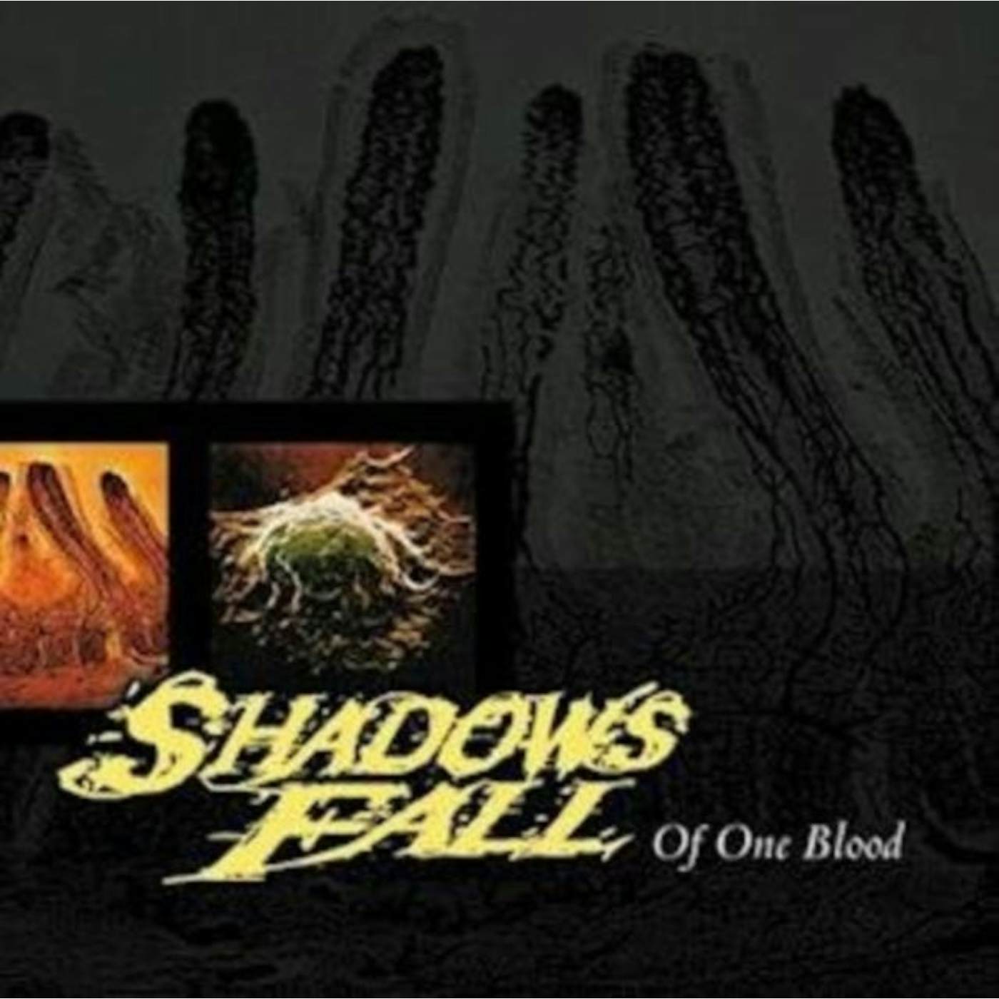 Shadows Fall LP - Of One Blood (Yellow With Black Marble Vinyl)